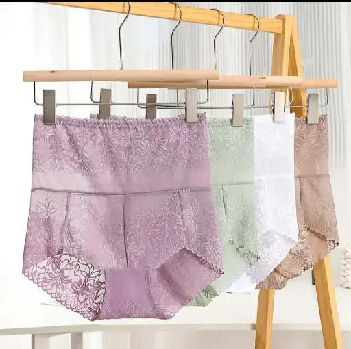 Highwaist Lace Panties